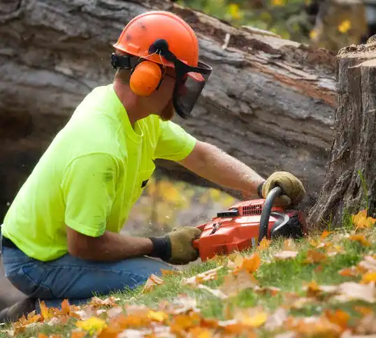 tree services Waite Park